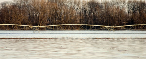 flooded field