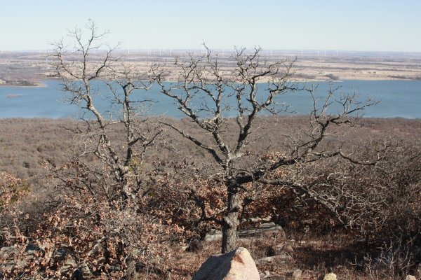 wichita_windfarm_3701